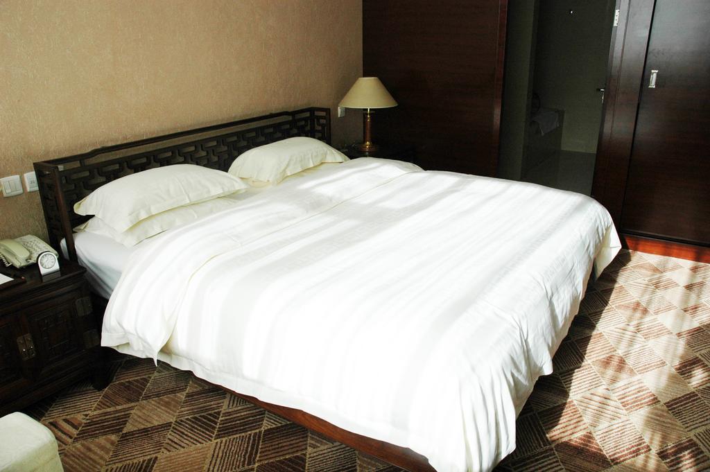 Datong Garden Hotel Rum bild